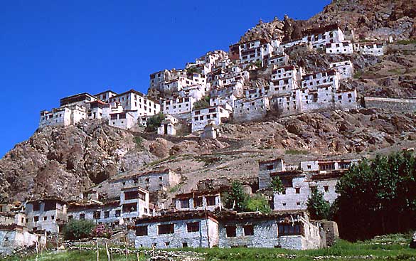 vue d'ensemble de Karsha : village et gonpa.